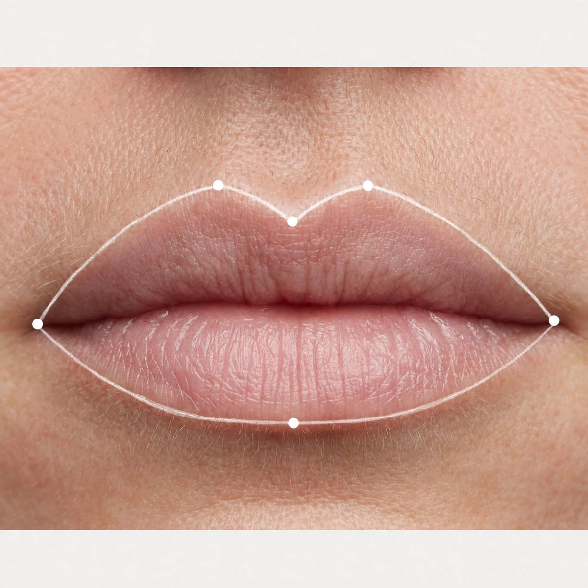 ADVEX Lip Liner Definition PRO - $597